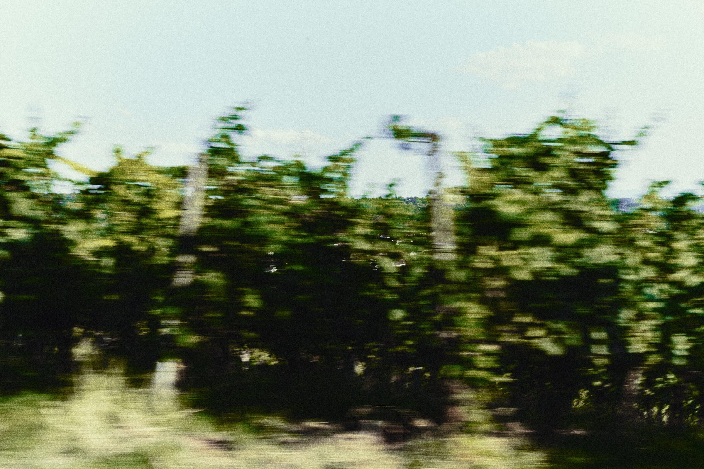 Platzhalterbild